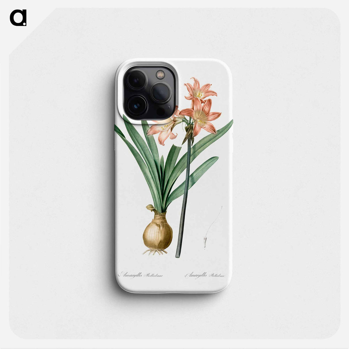 Amaryllis Belladonna - Pierre Joseph Redouté Phone Case.