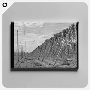 アートパネル-Clatsop County Forest
 - ラッセル リー Canvas.