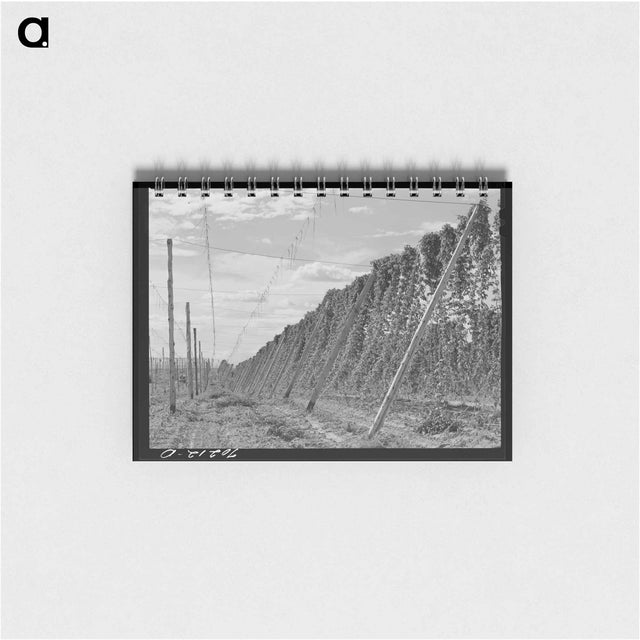 アートメモ帳-Clatsop County Forest
 - ラッセル リー Memo.