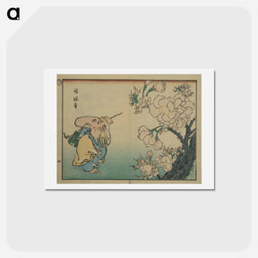アートポストカード-Picture Album
 - 歌川 広重 Postcard.