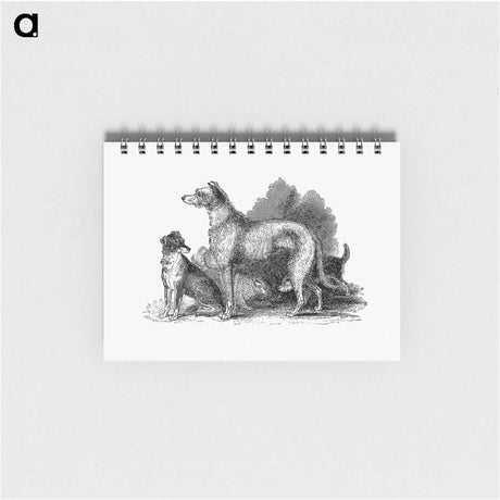 アートメモ帳-Scottish Deerhound
 - 大英図書館 Memo.