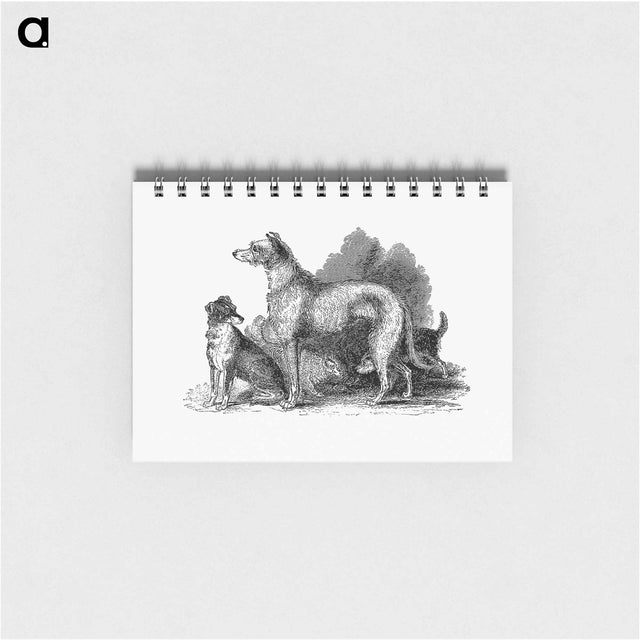 アートメモ帳-Scottish Deerhound
 - 大英図書館 Memo.