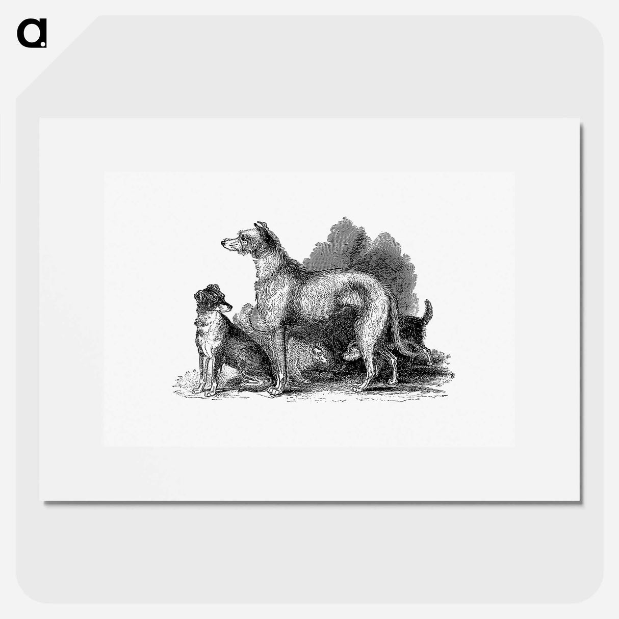 アートポスター-Scottish Deerhound
 - 大英図書館 Poster.