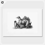 アートポスター-Scottish Deerhound
 - 大英図書館 Poster.