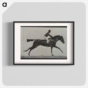 アートポスター-Galloping Horse and Rider
 - エドワード マイブリッジ Poster.