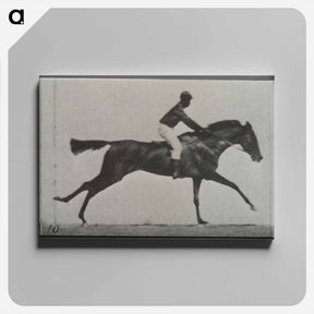 アートパネル-Galloping Horse and Rider
 - エドワード マイブリッジ Canvas.