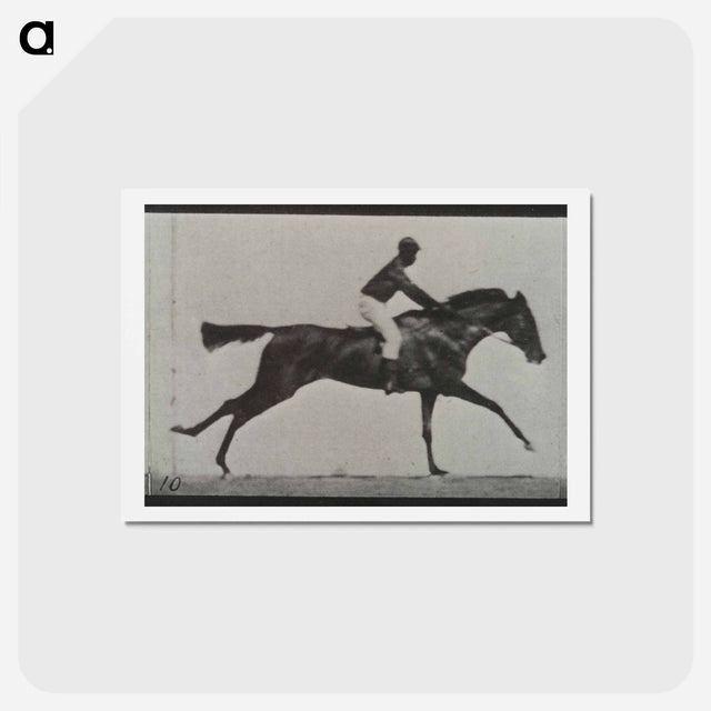 アートポストカード-Galloping Horse and Rider
 - エドワード マイブリッジ Postcard.