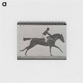 アートメモ帳-Galloping Horse and Rider
 - エドワード マイブリッジ Memo.