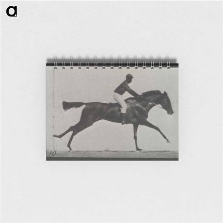 アートメモ帳-Galloping Horse and Rider
 - エドワード マイブリッジ Memo.