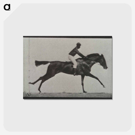 アートポストカード-Galloping Horse and Rider
 - エドワード マイブリッジ Postcard.
