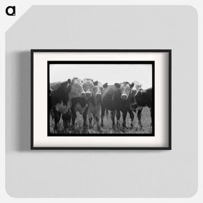 アートポスター-Yearlings, Cruzen Ranch
 - ラッセル リー Poster.