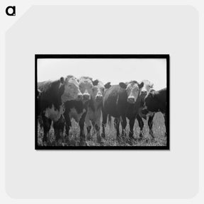 アートポストカード-Yearlings, Cruzen Ranch
 - ラッセル リー Postcard.