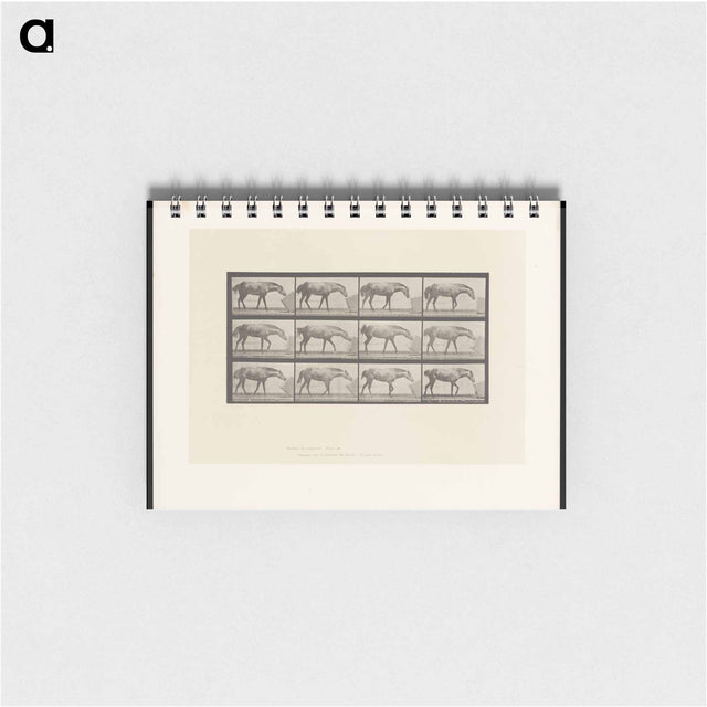 アートメモ帳-Horse and Box
 - エドワード マイブリッジ Memo.