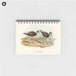 アートメモ帳-Marsh Sandpiper
 - オーストラリアの鳥 Memo.
