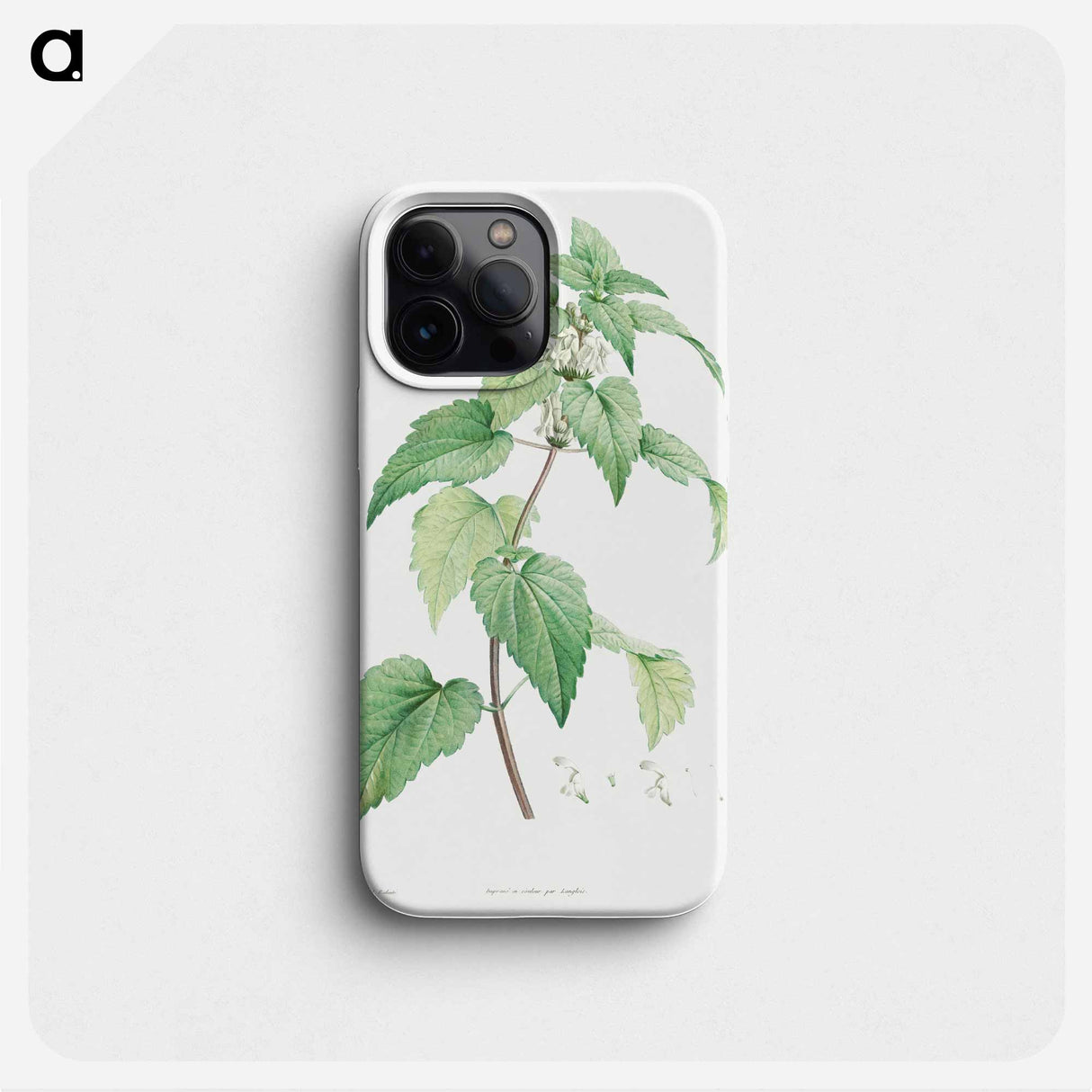 White dead-nettle - ピエール ジョゼフ ルドゥーテ Phone Case.