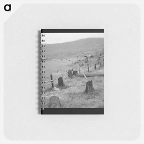 アートメモ帳-Fenced pasture on cut-over farm - ドロテア ラング Memo.