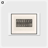 アートポストカード-Man on Horse
 - エドワード マイブリッジ Postcard.