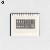 アートメモ帳-Man on Horse
 - エドワード マイブリッジ Memo.