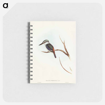 Red-backed Halcyon
 - ジョン グールド Memo.