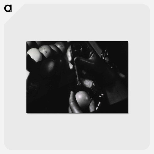 Infectious Diseases
 - 国立医学図書館 Postcard.