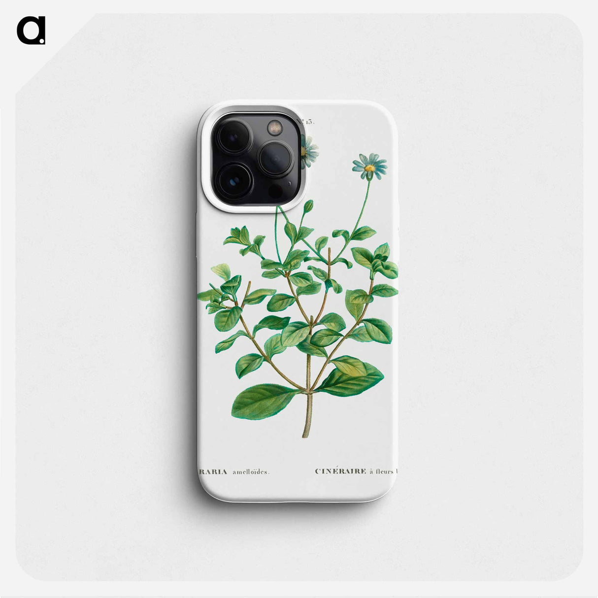 Blue marguerite - Pierre Joseph Redouté Phone Case.