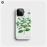 Blue marguerite - Pierre Joseph Redouté Phone Case.