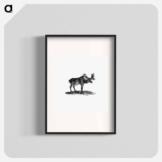 アートポスター-Moose Illustration
 - 大英図書館 Poster.