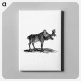 アートパネル-Moose Illustration
 - 大英図書館 Canvas.