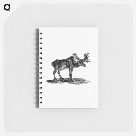 アートメモ帳-Moose Illustration
 - 大英図書館 Memo.