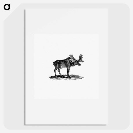 アートポスター-Moose Illustration
 - 大英図書館 Poster.