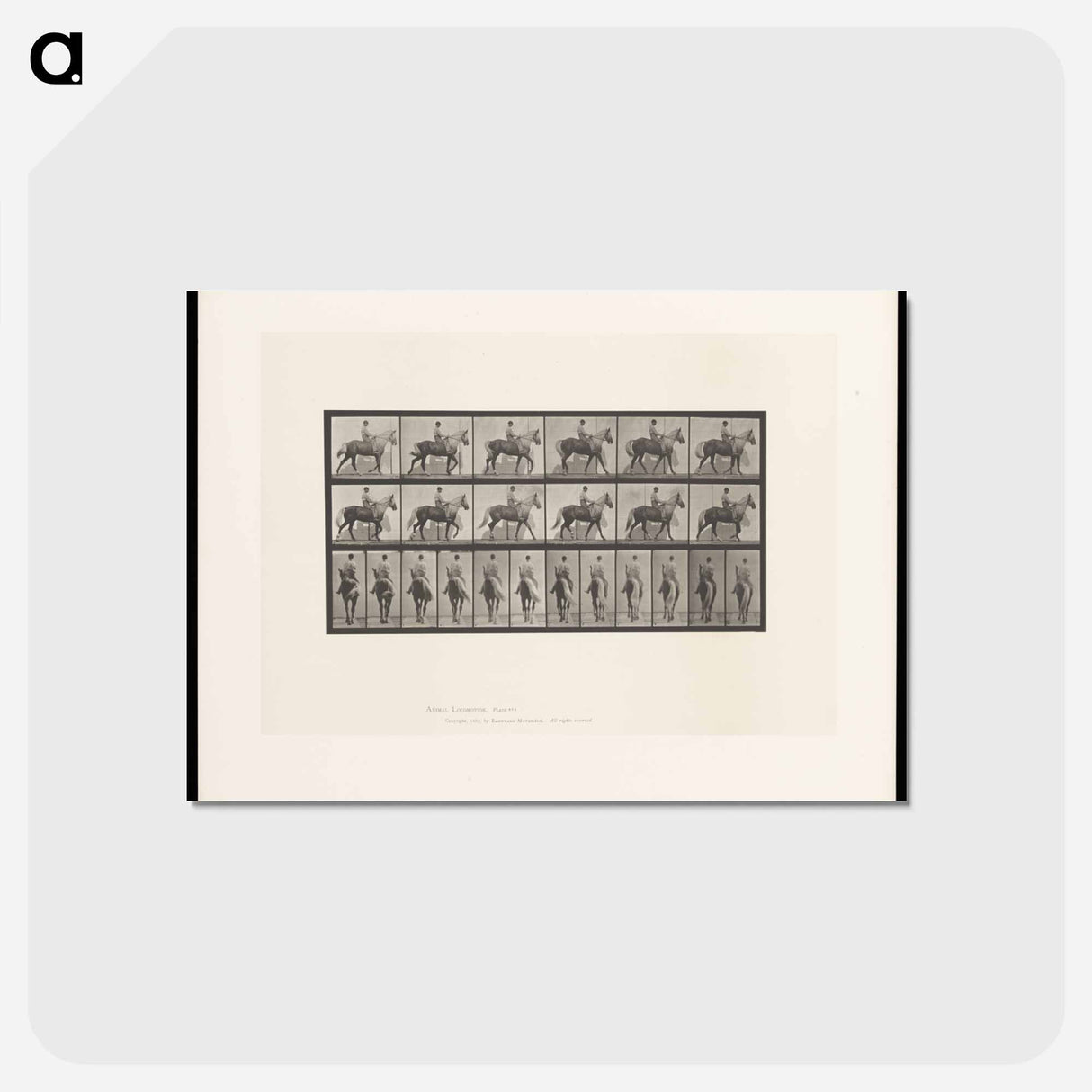 アートポストカード-Man on Horse
 - エドワード マイブリッジ Postcard.