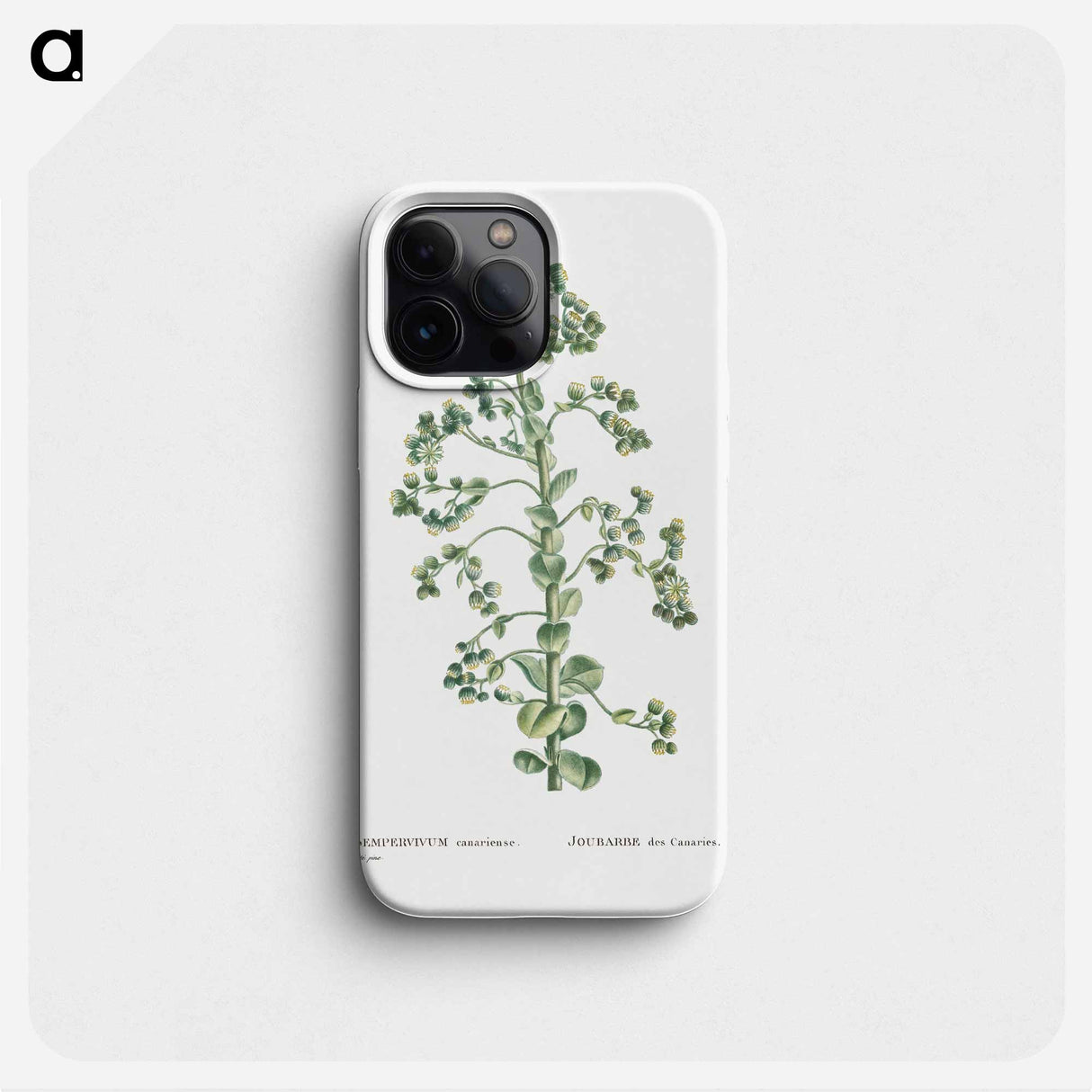 Sempervivum Canariense (Canary Houseleek) - Pierre Joseph Redouté Phone Case.