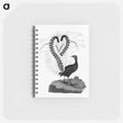 アートメモ帳-Lyrebird from An Account of the English Colony in New South Wales
 - 大英図書館 Memo.