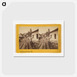 アートポストカード-Mazatenango
 - エドワード マイブリッジ Postcard.