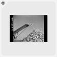 アートポストカード-Cornsheller Throwing Cobs
 - ラッセル リー Postcard.