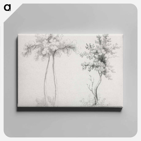 アートパネル-Upas and Maple Trees
 - クリーブランド美術館 Canvas.