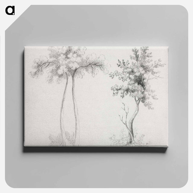 アートパネル-Upas and Maple Trees
 - クリーブランド美術館 Canvas.