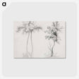 アートポストカード-Upas and Maple Trees
 - クリーブランド美術館 Postcard.