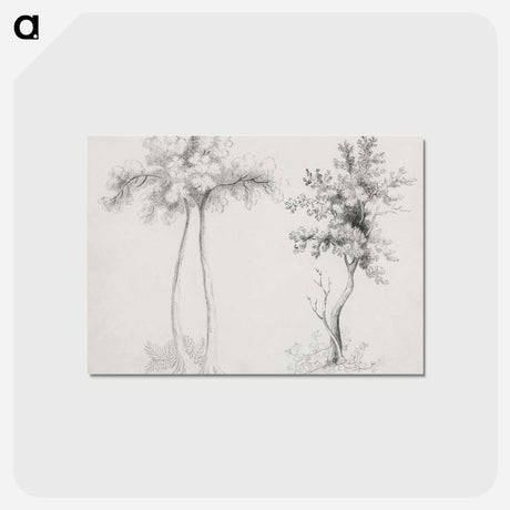 アートポストカード-Upas and Maple Trees
 - クリーブランド美術館 Postcard.