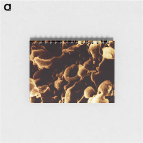 アートメモ帳-Human Immunodeficiency Virus Micrograph
 - 国立医学図書館 Memo.