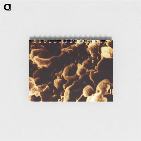 アートメモ帳-Human Immunodeficiency Virus Micrograph
 - 国立医学図書館 Memo.