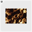 アートポストカード-Human Immunodeficiency Virus Micrograph
 - 国立医学図書館 Postcard.
