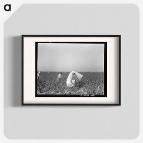 アートポスター-Pickers in cotton field - ドロテア ラング Poster.