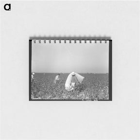 アートメモ帳-Pickers in cotton field - ドロテア ラング Memo.