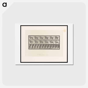 アートポストカード-Man on Horse
 - エドワード マイブリッジ Postcard.