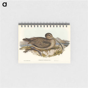 アートメモ帳-Australian Curlew
 - ジョン グールド Memo.