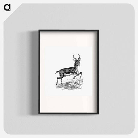 アートポスター-Buck Deer from Portuguese Expedition to Muatianvua
 - 大英図書館 Poster.