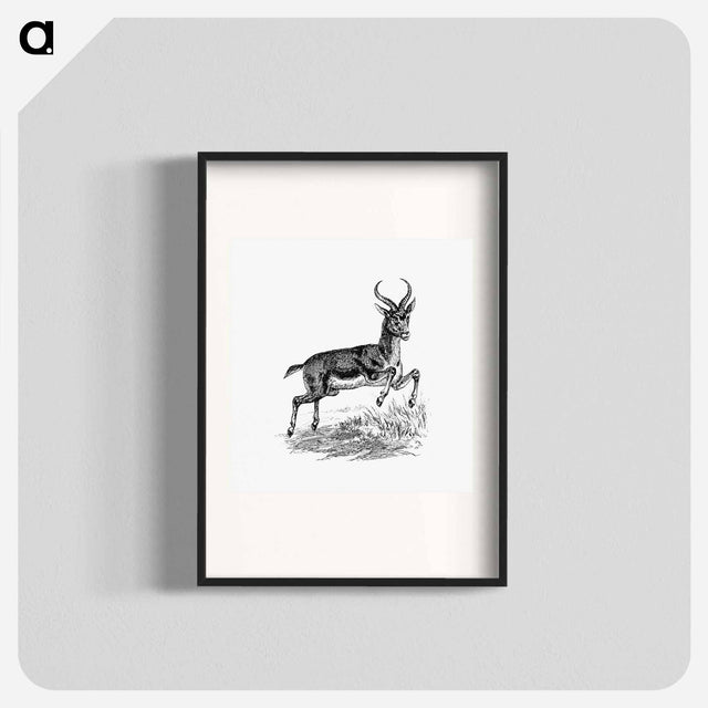 アートポスター-Buck Deer from Portuguese Expedition to Muatianvua
 - 大英図書館 Poster.