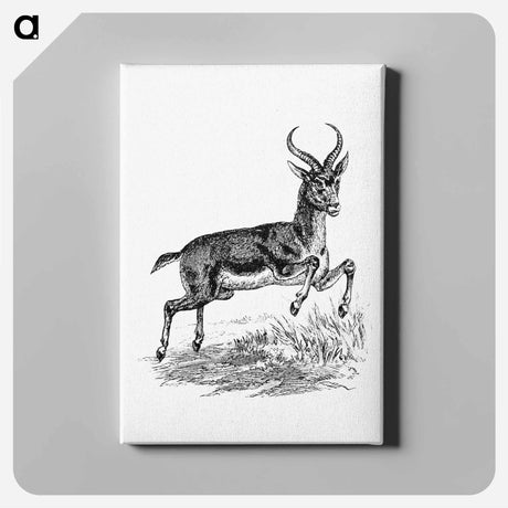 アートパネル-Buck Deer from Portuguese Expedition to Muatianvua
 - 大英図書館 Canvas.