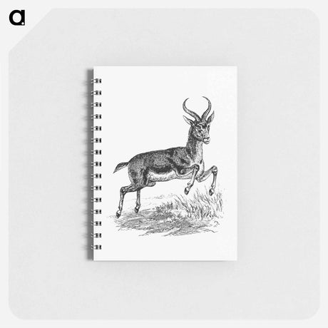 アートメモ帳-Buck Deer from Portuguese Expedition to Muatianvua
 - 大英図書館 Memo.